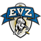 Visitor Club Logo