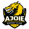 Visitor Club Logo
