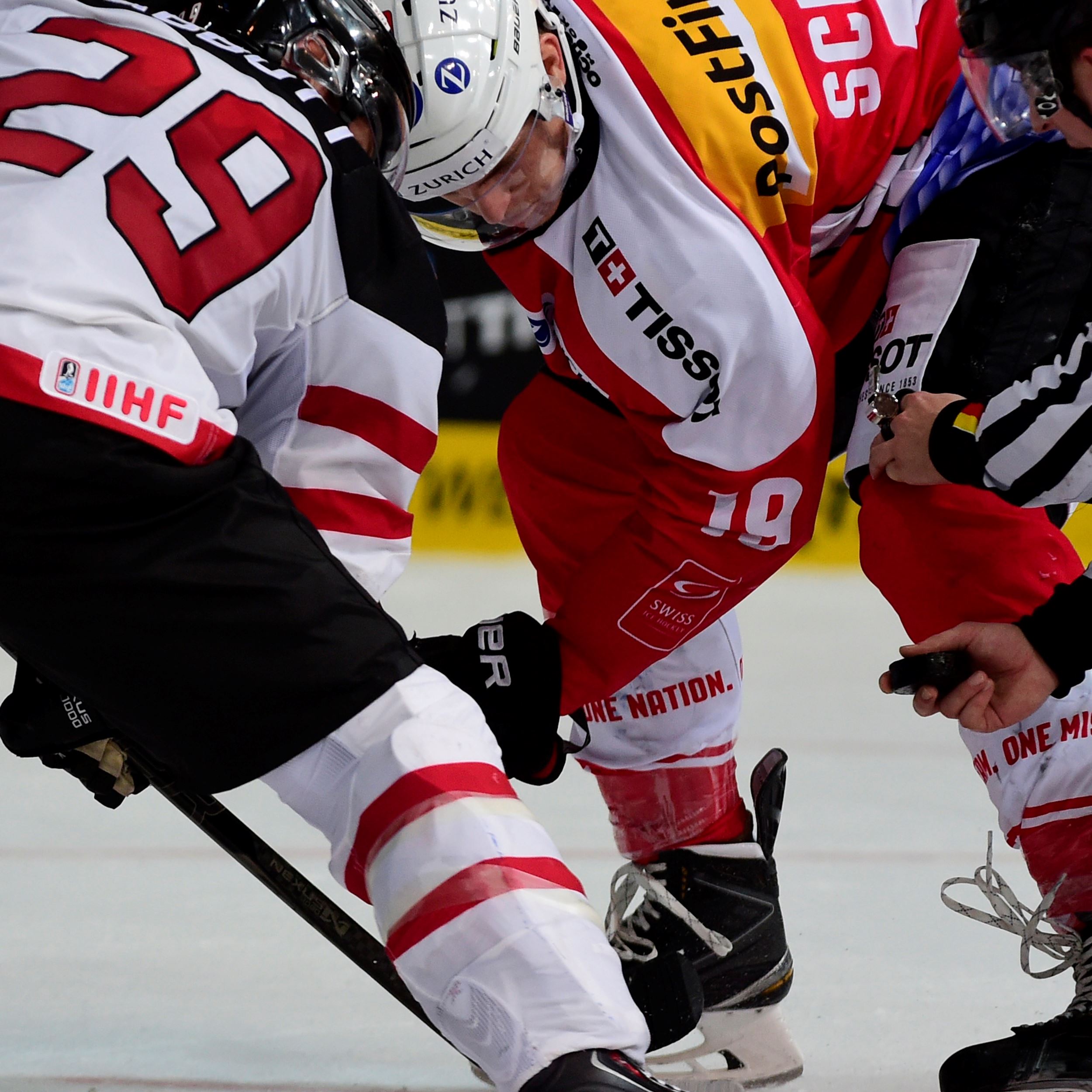 FRESHFOCUS_492908.jpg FRESHFOCUS_492908.jpg